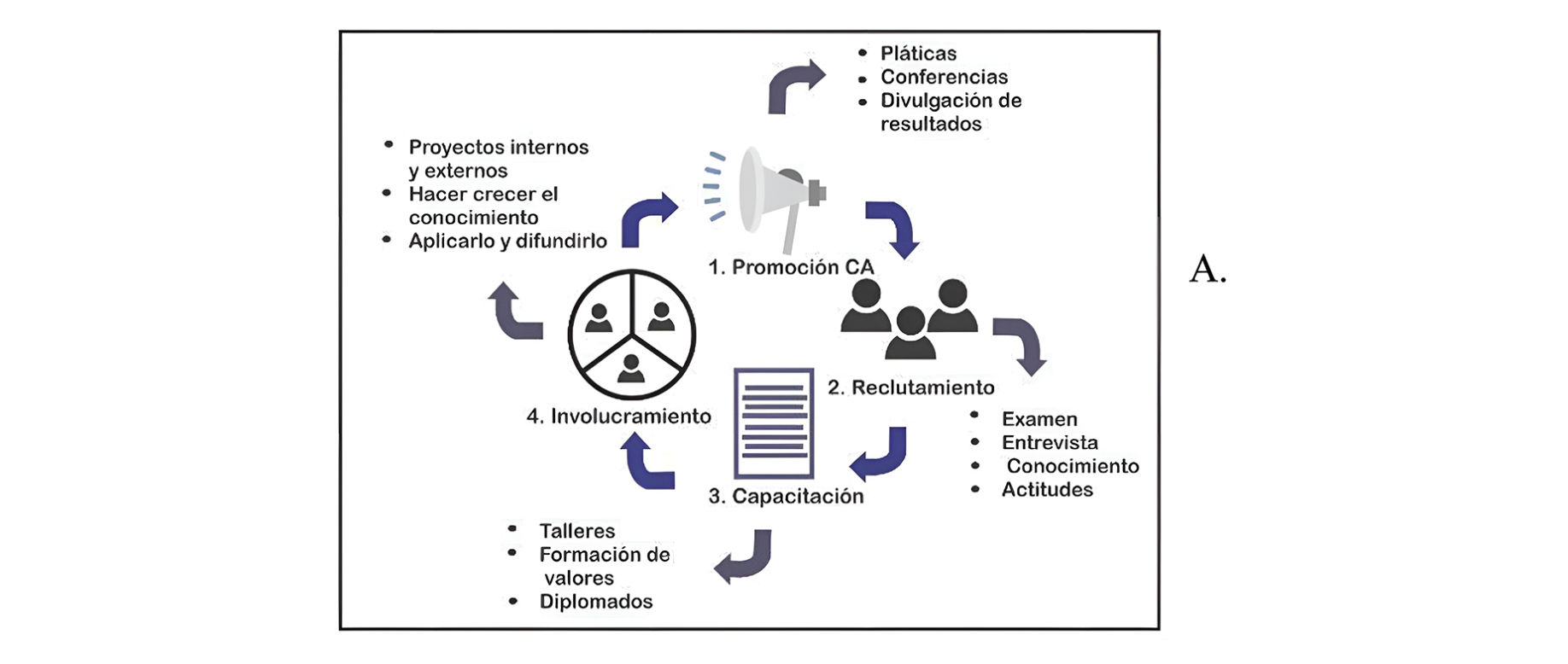 Fig. 3. Proceso de selección y formación de jóvenes investigadores a través de la convocatoria UNAM-HUAWEI